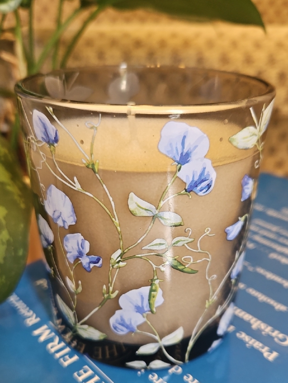 Simply Indulgent Soy Wax Candle in Glass Jar 7oz - Whispering Woods